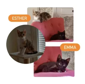 Emma, Esther (Visible En Fa)
