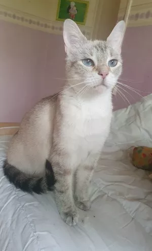 Ginnie