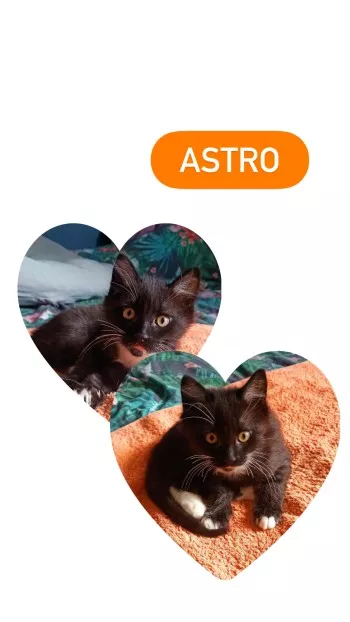 Astro *Adopté*