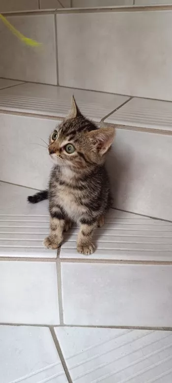 Aky *Adopté*