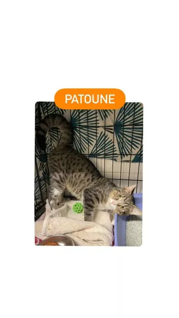 Patoune *Reservé*