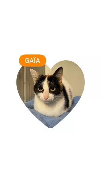 Gaïa