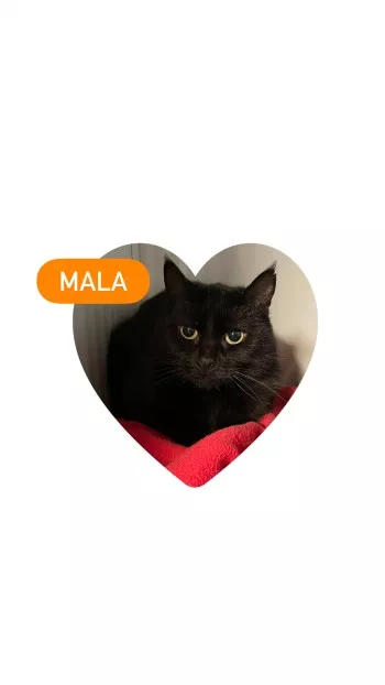 Mala