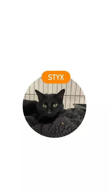 Styx