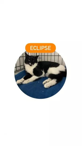 Éclipse