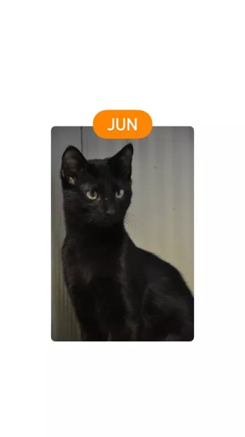 Jun *Reservee*