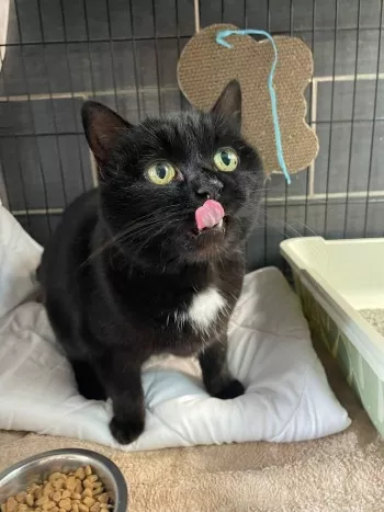 Sabrina