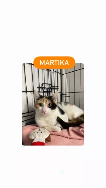 Martika