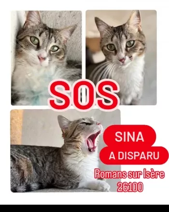 Sina