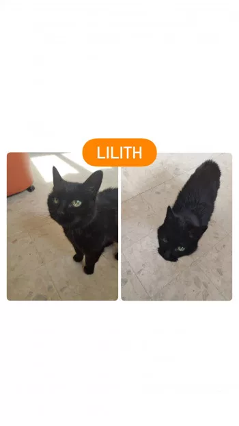 Lilith