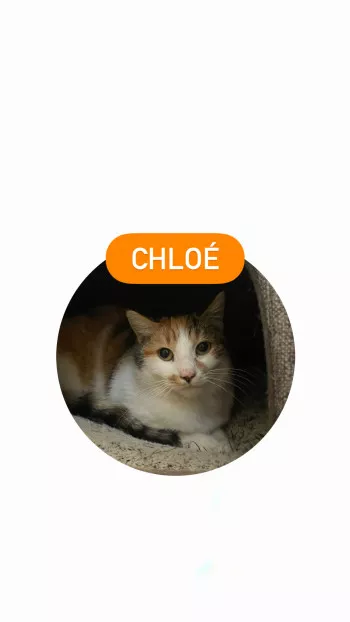 Chloé