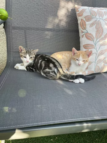 Bahia & Bingo