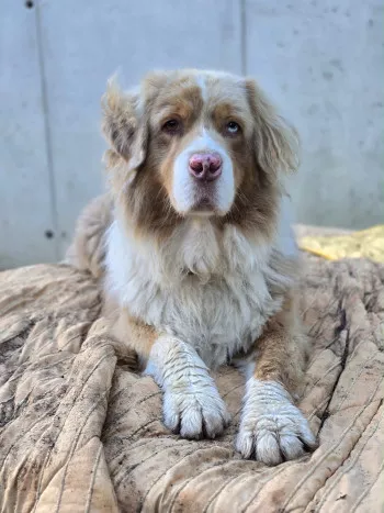 Max