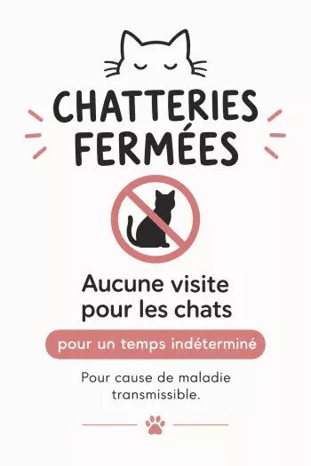 Chatteries Fermées Temporairement